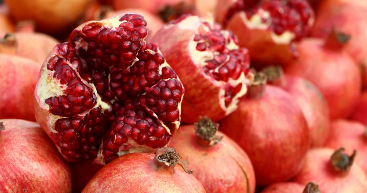 Saporina Egyptian pomegranate juice and concentrate — the 2026 processing season